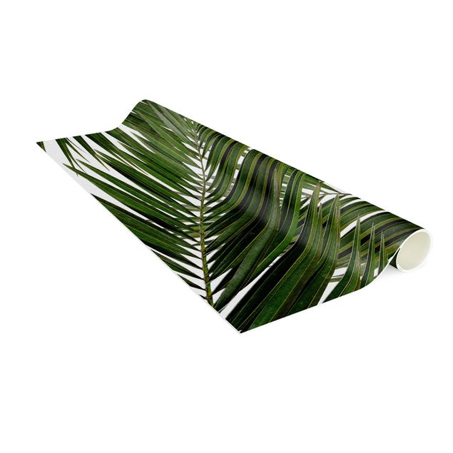 Tappeti fiori Vista attraverso le foglie di palma verde