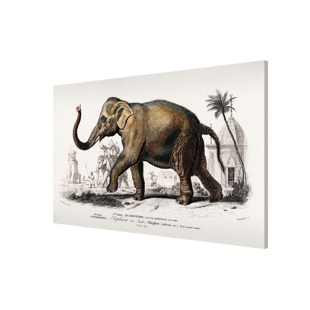 Lavagna magnetica - Vintage Consiglio Elephant - Formato orizzontale 3:2