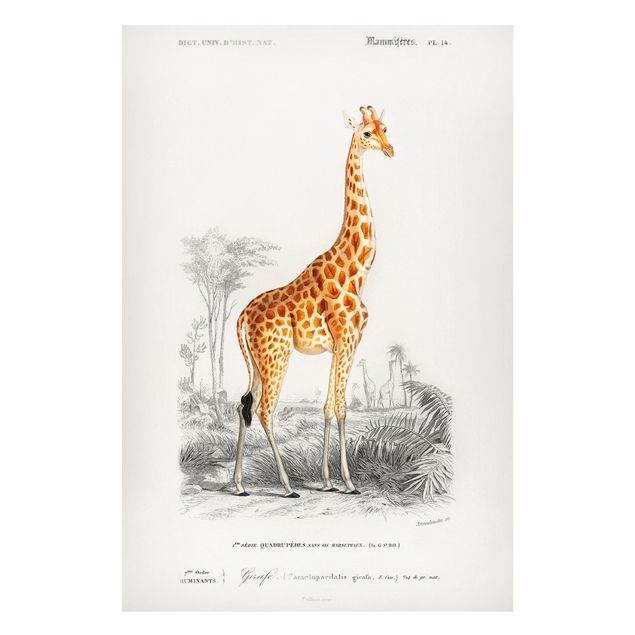Lavagna magnetica per ufficio Bacheca vintage Giraffa