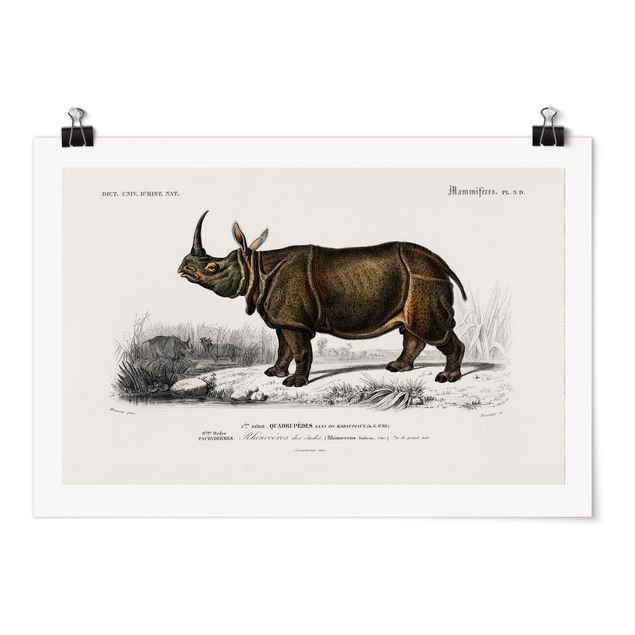 Poster - Vintage Consiglio Rhino - Orizzontale 2:3