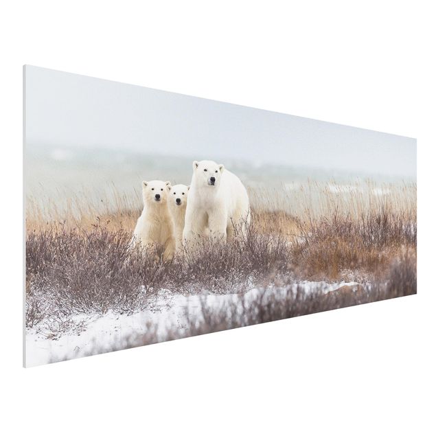 quadri con animali Orso polare e i suoi cuccioli