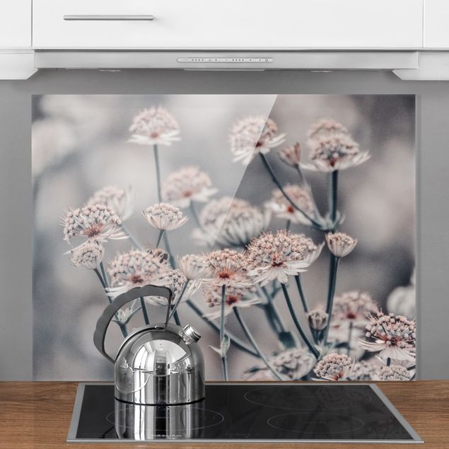 paraschizzi cucina vetro magnetico Bouquet mistico di fiori