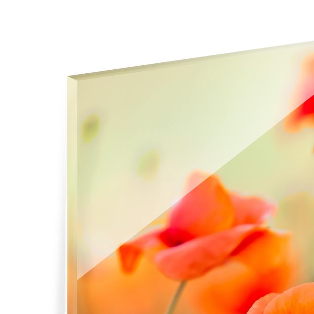 Paraschizzi in vetro - Red Summer Poppy