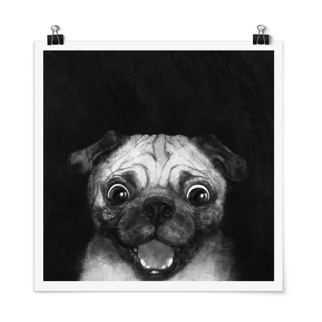 Poster - Illustrazione Pug Dog Pittura Su Bianco e nero - Quadrato 1:1