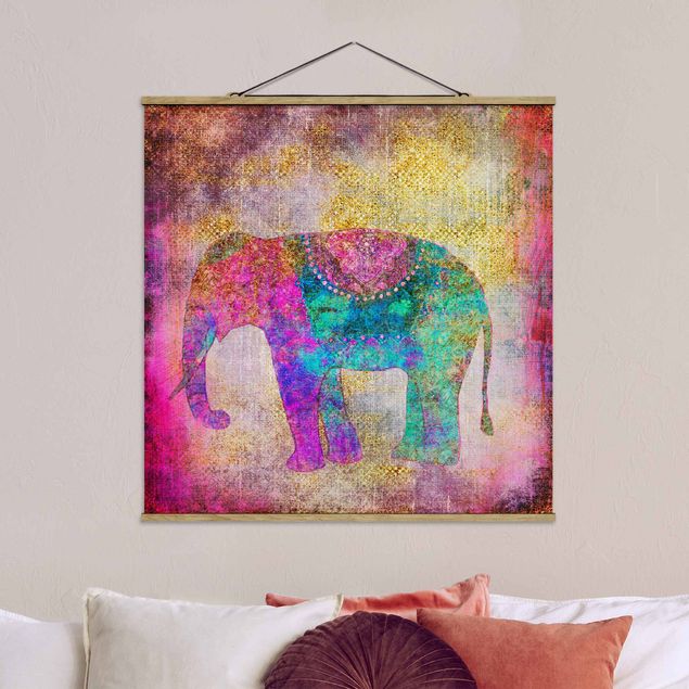 Quadri animali Collage colorato - Elefante indiano
