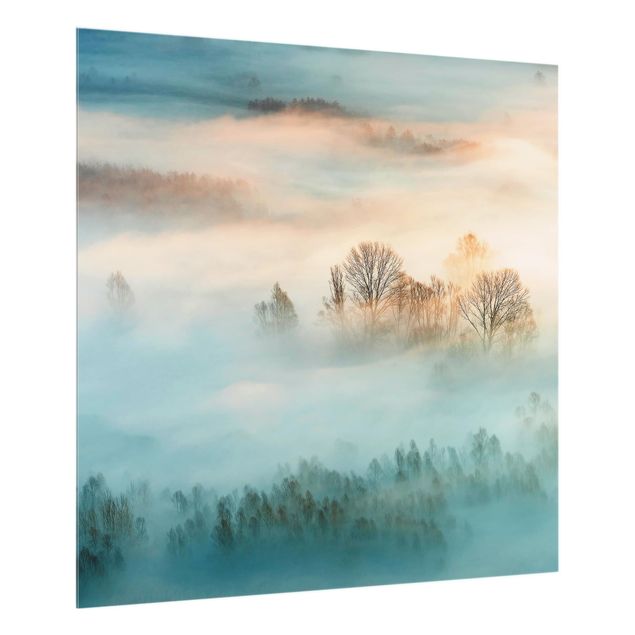 Paraschizzi in vetro - Fog At Sunrise