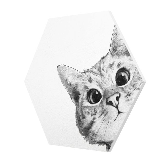 Esagono in forex - Illustrazione Cat Disegno Nero Bianco