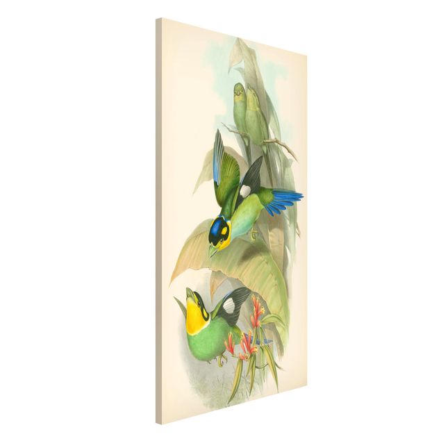 quadri con animali Illustrazione vintage Uccelli tropicali