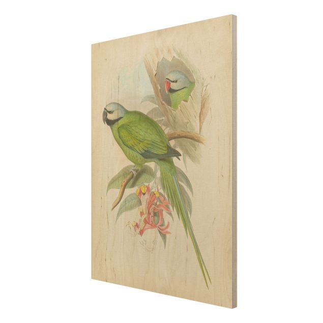 Stampa su legno - Illustrazione Vintage Tropical Birds II - Verticale 4:3