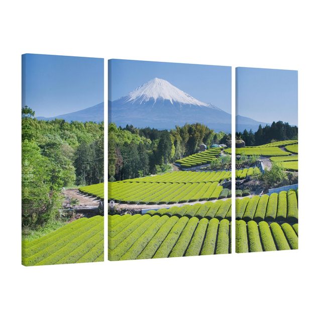 Stampe su tela Campi di tè davanti al Fuji