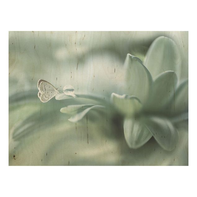 Quadro in legno - Farfalla E Gocce di rugiada In Pastel Verde - Orizzontale 4:3