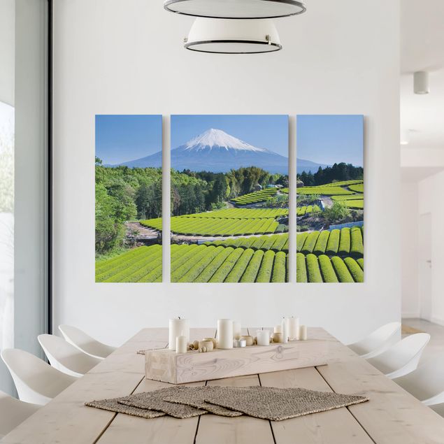 Quadri su tela paesaggio Campi di tè davanti al Fuji