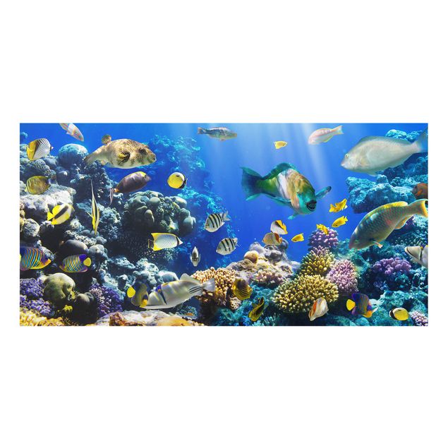 Paraschizzi in vetro - Underwater Reef