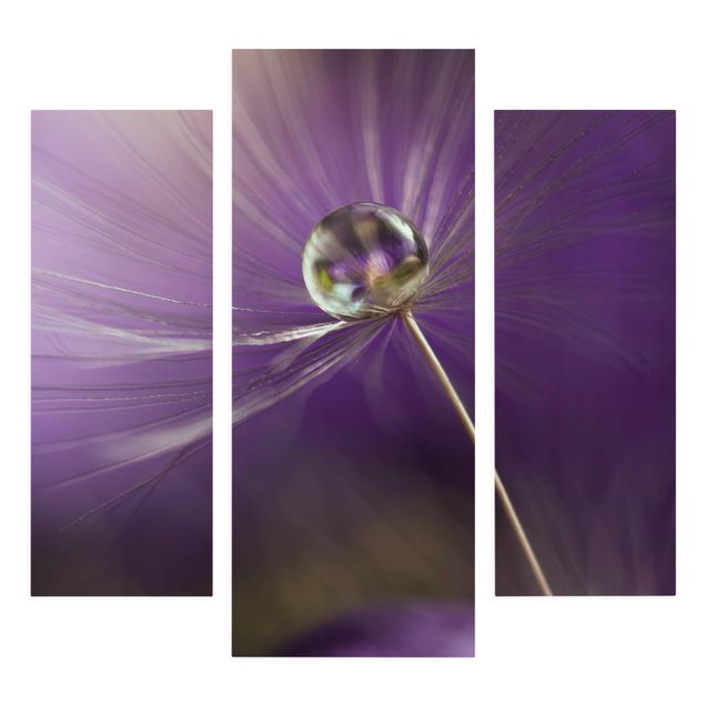 Stampa su tela 3 parti - Dandelion In Violet - Trittico da galleria