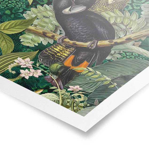 Poster - Colorato collage - Cacatua In The Jungle - Verticale 3:2