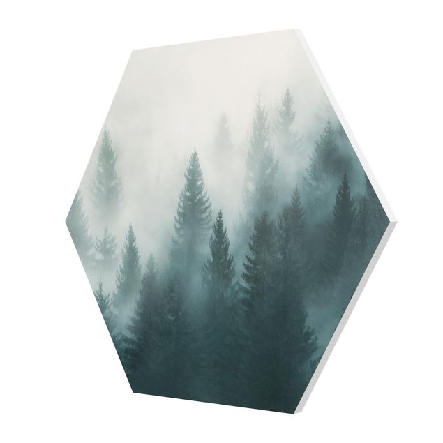 Esagono in forex - Foresta di conifere In Nebbia