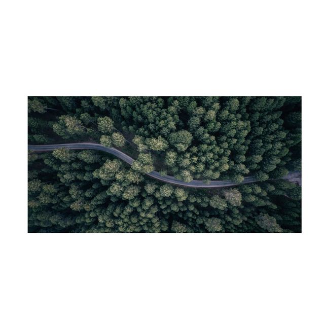 Tappeto verde Vista aerea - Strada forestale dall'alto