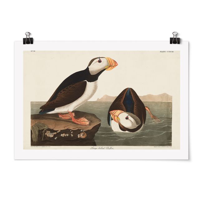 Poster - Vintage Consiglio Puffin II - Orizzontale 2:3