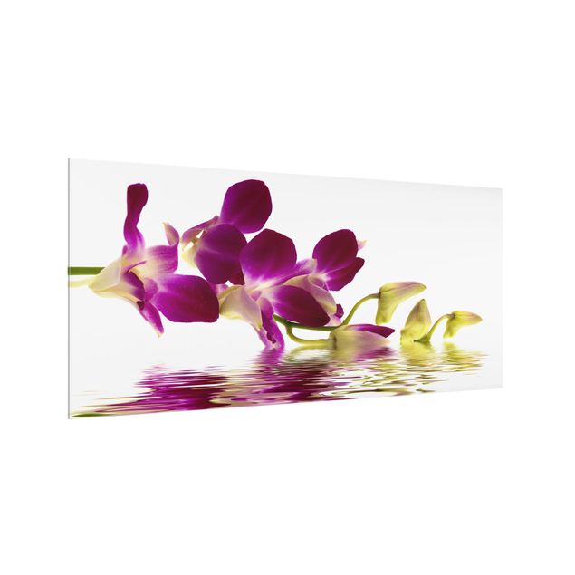 Paraschizzi in vetro - Pink Orchid Waters