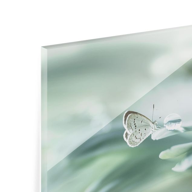 Paraschizzi in vetro - Butterfly And Dew Drops In Pastel Green