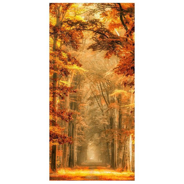 Tenda a pannello - Fairy Forest in Autumn - 250x120cm
