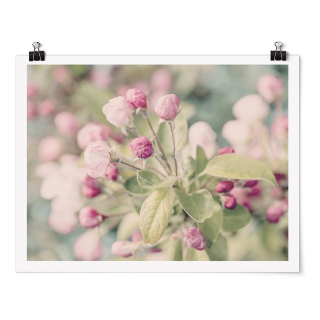 Poster - Apple Blossom rosa bokeh - Orizzontale 3:4
