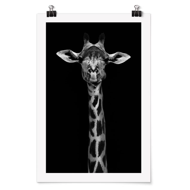 Poster - Scuro Ritratto della giraffa - Verticale 3:2