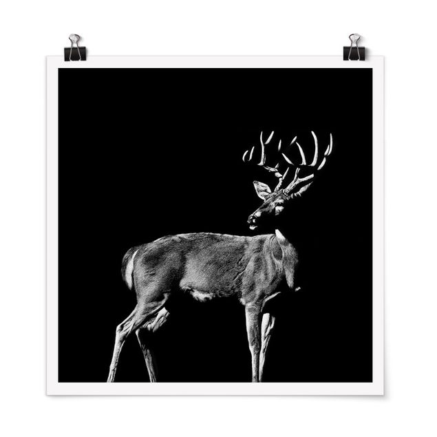 Poster - Deer In The Dark - Quadrato 1:1