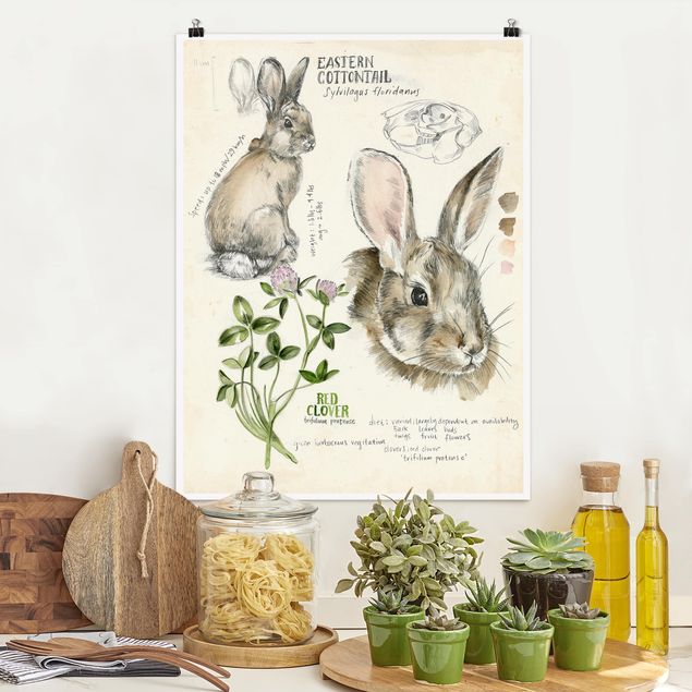 Quadri animali Diario della natura selvaggia - Coniglio