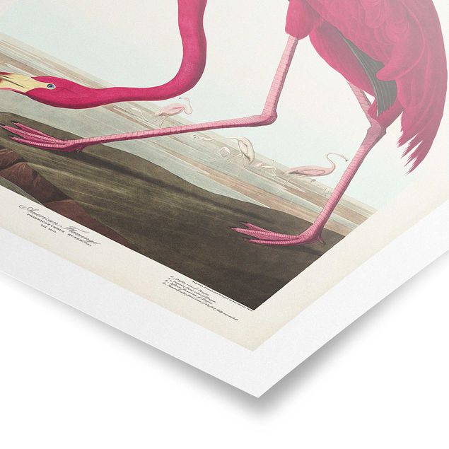 Poster - Flamingo Consiglio American Vintage - Verticale 3:2