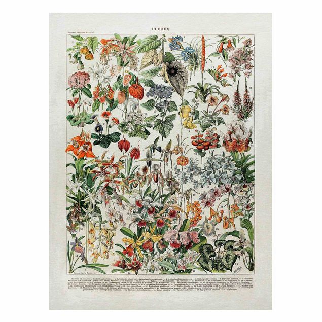 Lavagna magnetica - Vintage Consiglio Flowers III - Formato verticale 4:3