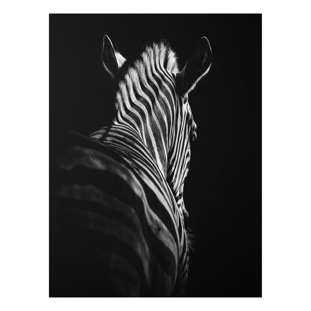 Quadro in forex - Scuro silhouette zebra - Verticale 3:4
