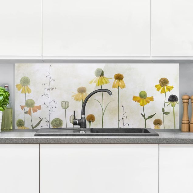paraschizzi cucina vetro magnetico Delicati fiori di Helenium
