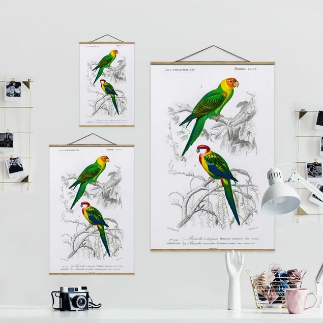 Foto su tessuto da parete con bastone - Grafico parete Vintage Due pappagalli Verde Rosso - Verticale 3:2
