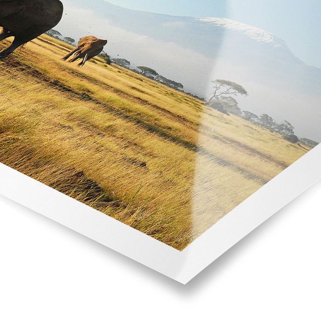 Poster - Elefanti Di Fronte Al Kilimanjaro in Kenya - Orizzontale 2:3