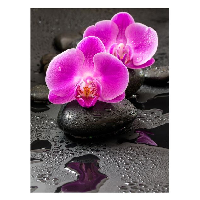 Lavagna magnetica - Pink Orchid Fiori Sulle Pietre Con Le Gocce - Formato verticale 4:3