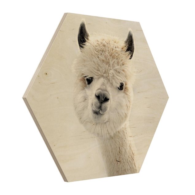 Esagono in legno - Ritratto di alpaca