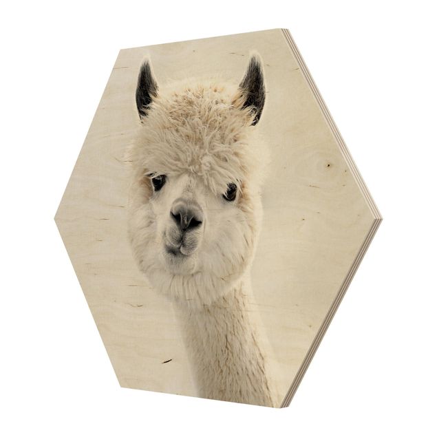 Esagono in legno - Ritratto di alpaca
