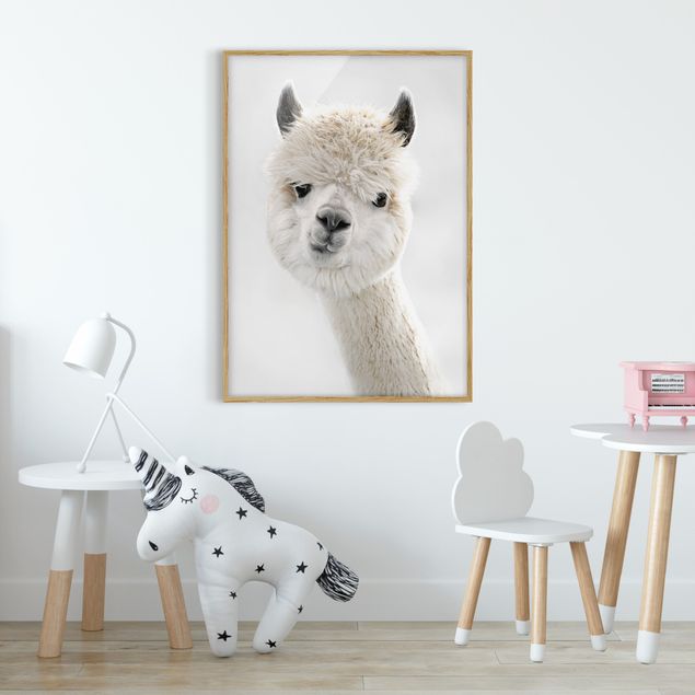 Poster con cornice - Ritratto di alpaca
