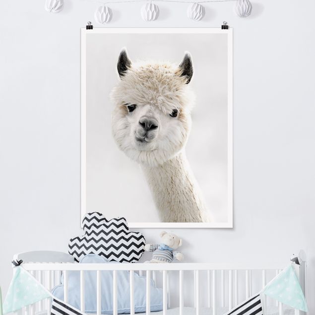 Poster cameretta bambini animali Ritratto di alpaca