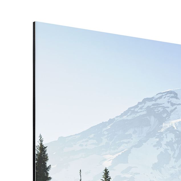 Quadro in alluminio - Prato di montagna con fiori blu davanti al monte Rainier
