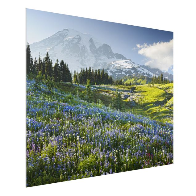 Quadro in alluminio - Prato di montagna con fiori blu davanti al monte Rainier