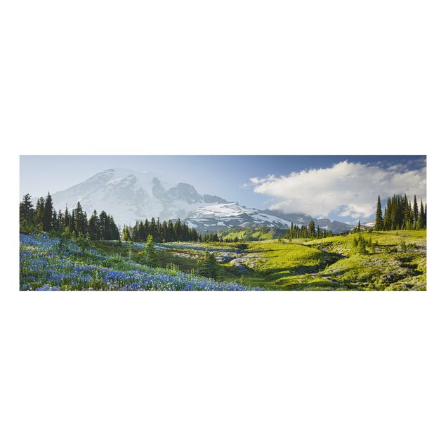 Quadro in alluminio - Mountain meadow with flowers in front of Mt. Rainier