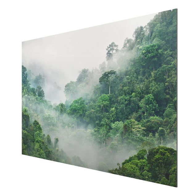 Quadro in alluminio - Jungle In The Fog