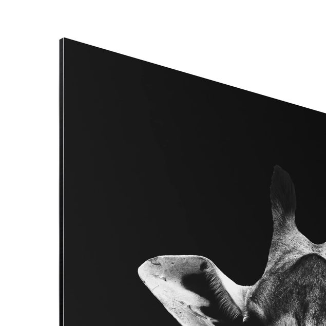 Quadro in alluminio - Scuro Giraffe Portrait