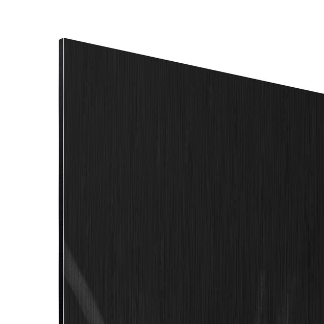 Quadro in alluminio - Moving Dandelions close up on black background