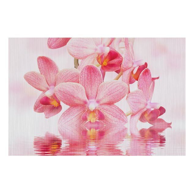 Quadro in alluminio - Pink Orchid on water