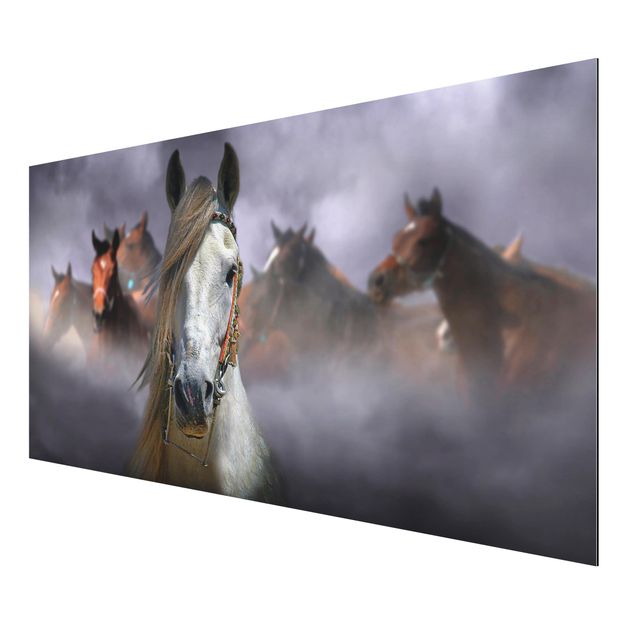 Quadro in alluminio - Horses In The Dust