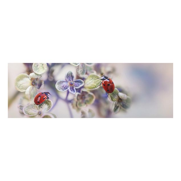 Quadro in alluminio - Ladybird In Garden