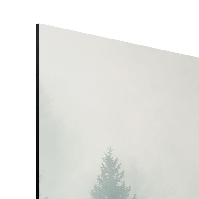 Quadro in alluminio - Coniferous Forest In Fog